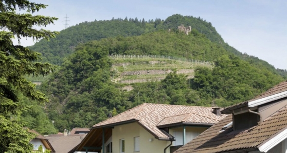 Kreuzwegerhof-Nals Appartment Grafensteiner/Morgenduft 