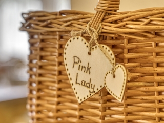 Kreuzwegerhof-Nals Ferienwohnung Pink Lady