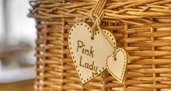 Kreuzwegerhof-Nals Appartment Pink Lady